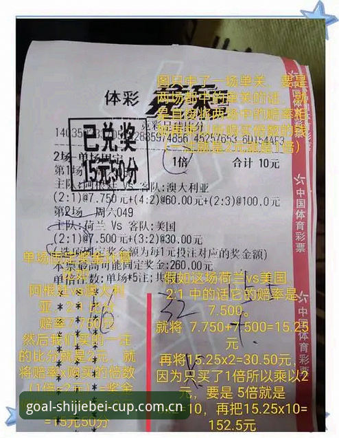 世界杯竞猜平台安全性深度评测：体彩官方入口直达2025可靠吗？体验报告